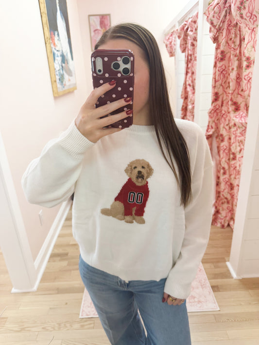 Oversized Game Day Dog Graphic Knit Sweater